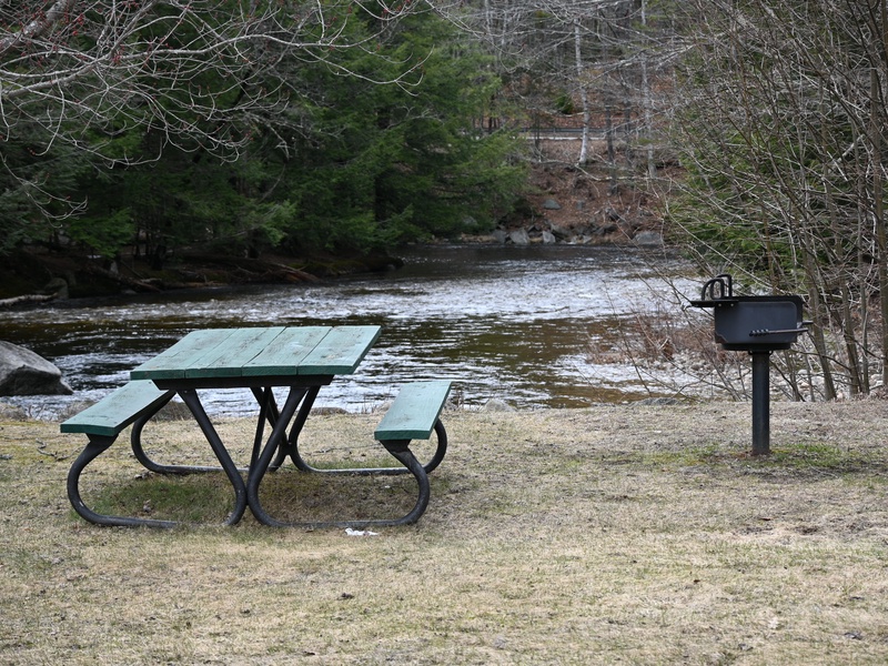 Picnic Area