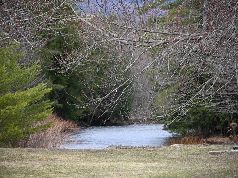 River View