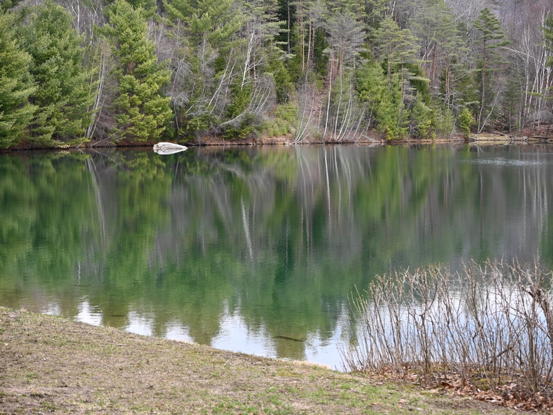 Lake View