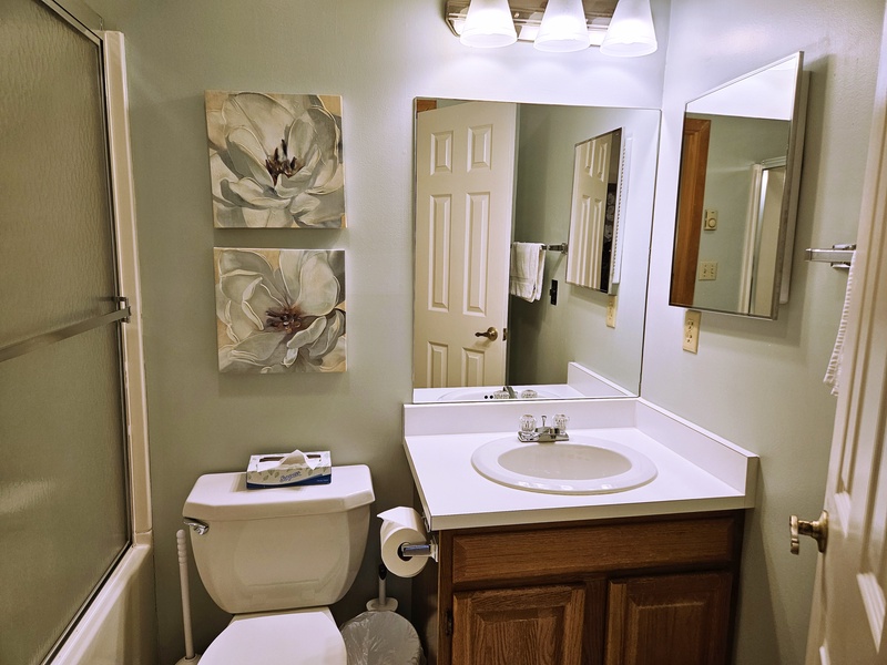 Primary bathroom