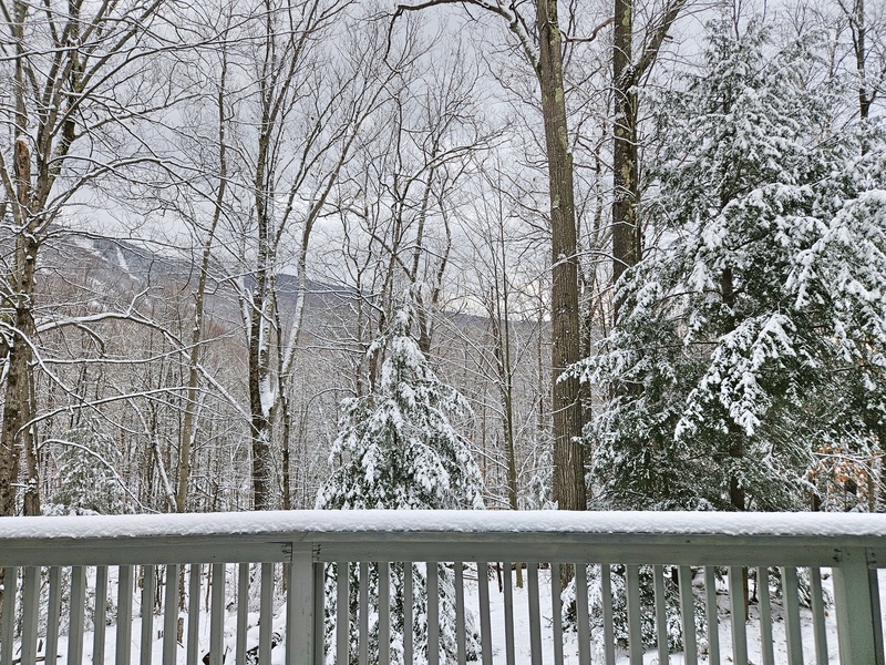 Wooded in summer, mountain views in winter