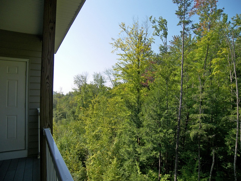 Summer View from Deck