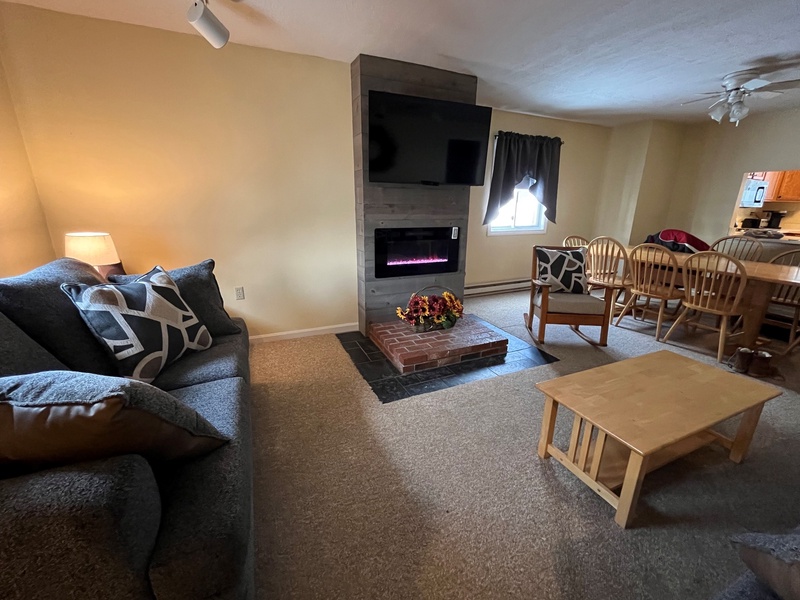 Alpine Village 155 - Electric Fireplace and Entertainment Center