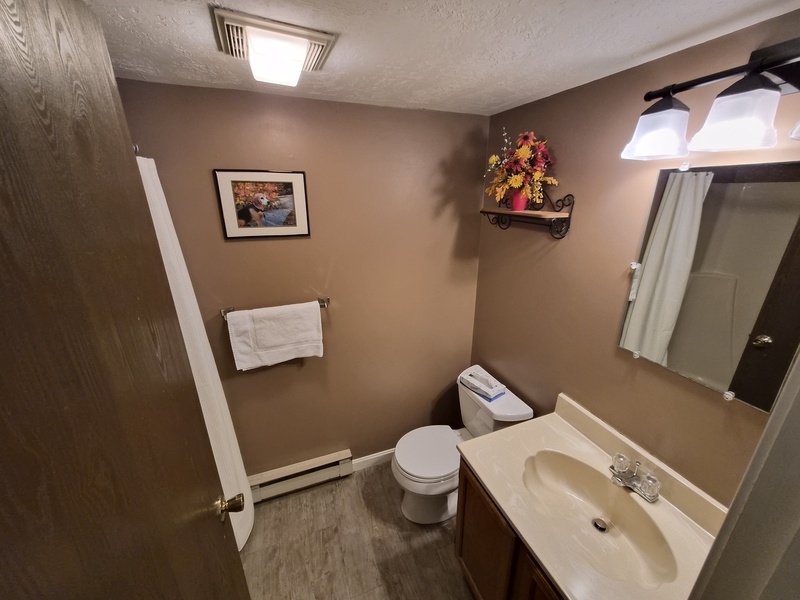 Alpine Village 155 - Main Floor Bathroom