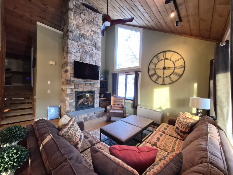 Living Room Area