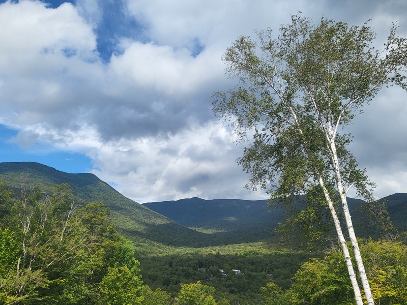 Beechnut 31 - View from the Deck