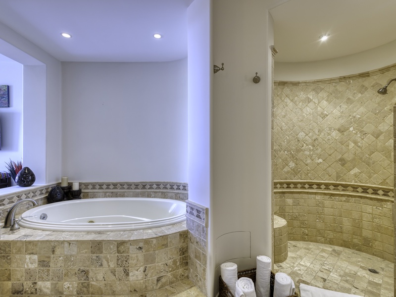 Master Jacuzzi Tub and Separate Shower