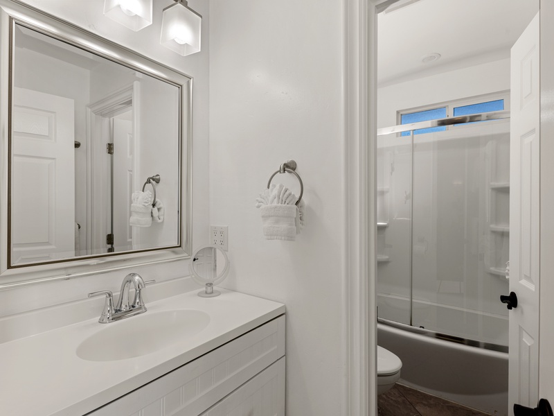 Guest bathroom