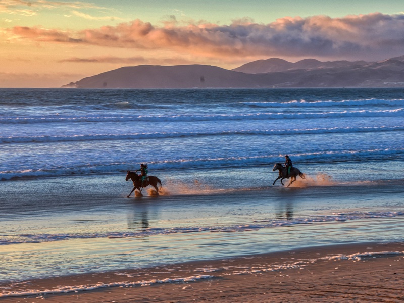 Galloping along Oceano’s shoreline, horseback riders enjoy stunning ocean views and rolling dunes.