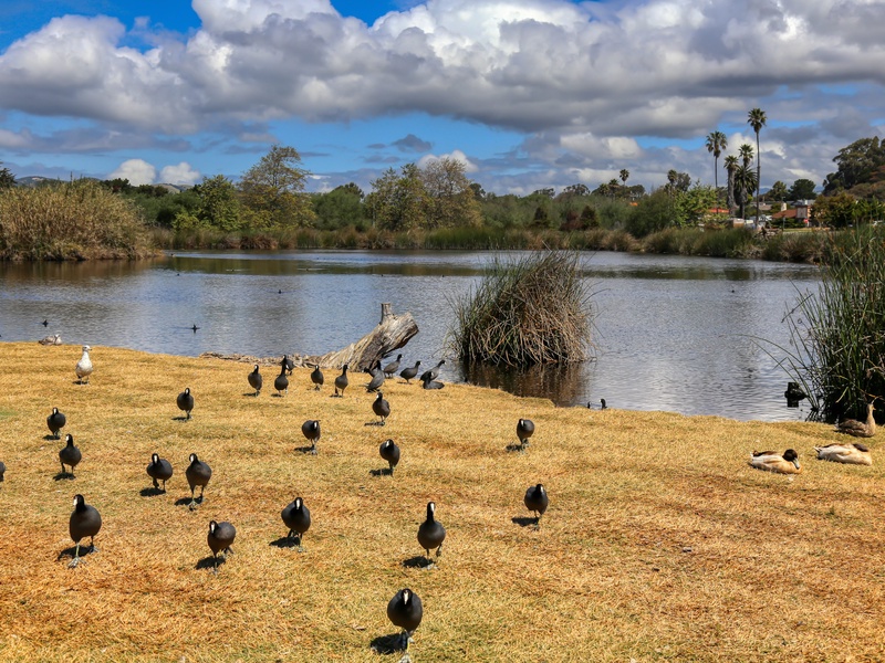 Just steps from Pacific Plaza Resort, the neighboring park offers green spaces, picnic areas, and a playground for relaxation and family fun.