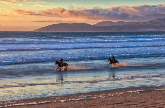 Galloping along Oceano’s shoreline, horseback riders enjoy stunning ocean views and rolling dunes.
