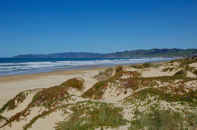 Sunlit dunes and the sparkling Pacific highlight the calm beauty of Oceano’s coast.