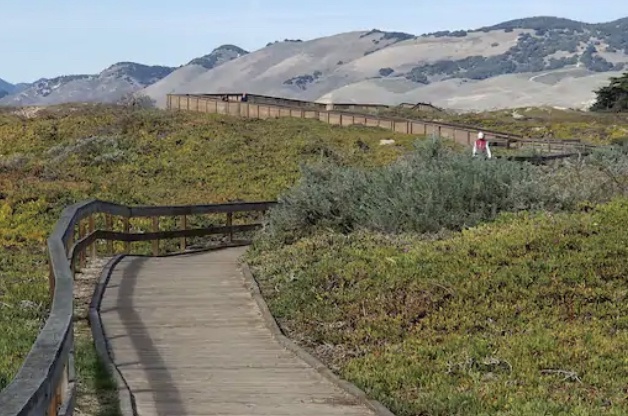Take a leisurely stroll along the boardwalk, where the ocean breeze and stunning views make it the perfect spot to relax, people-watch, and enjoy the beauty of the coast.