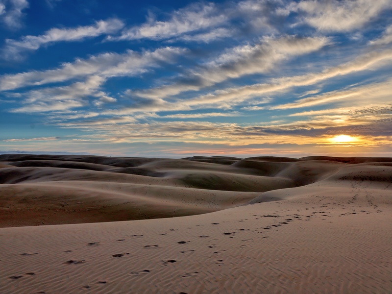 Discover the peaceful charm of the Oceano Dunes Preserve, where sweeping sand dunes blend with coastal wildlife, and quiet walking trails invite you to unwind and enjoy the more serene side of the coast.
